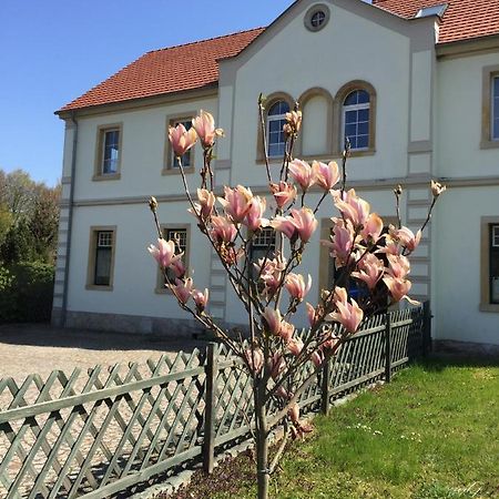 Stara Szkola Debowy Gaj The Old School Debowy Gaj Bed & Breakfast Lwowek Slaski Exterior photo