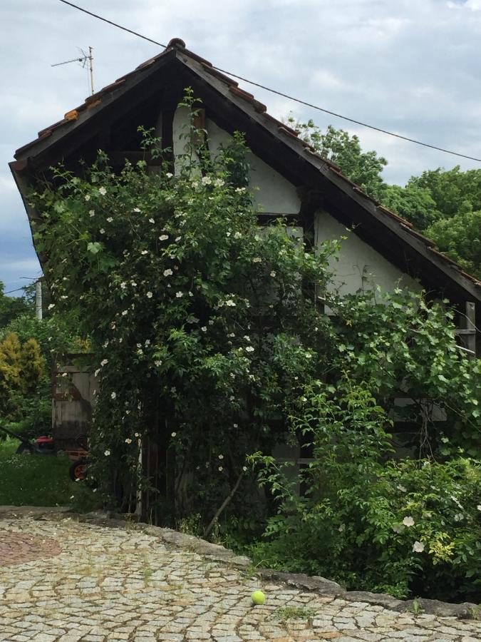 Stara Szkola Debowy Gaj The Old School Debowy Gaj Bed & Breakfast Lwowek Slaski Exterior photo